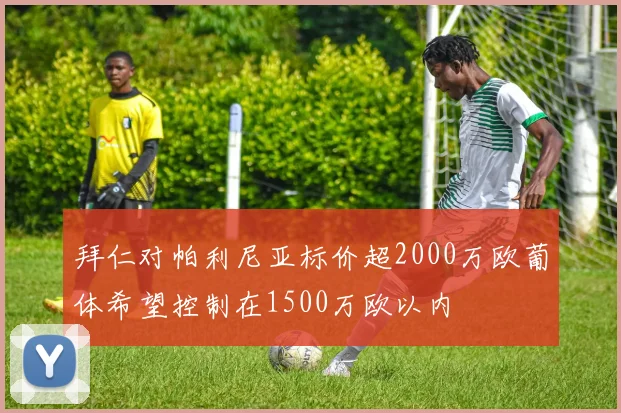 拜仁对帕利尼亚标价超2000万欧葡体希望控制在1500万欧以内